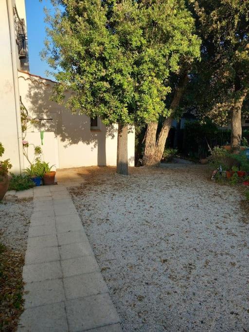 Havre De Paix, Et Jardin Luxuriant * Fréjus
