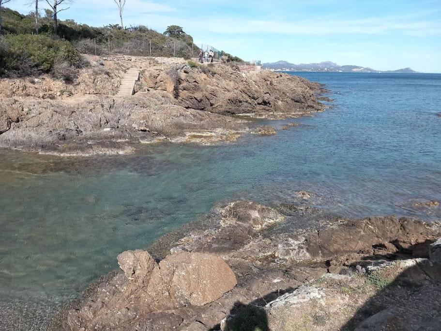Havre De Paix, Et Jardin Luxuriant Hébergement de vacances *