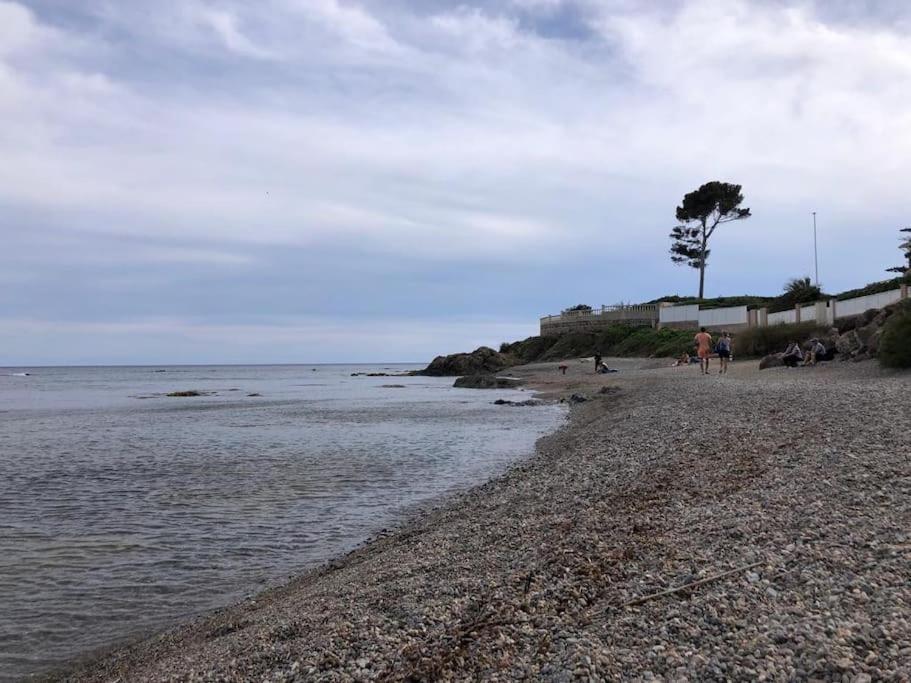 Havre De Paix, Et Jardin Luxuriant * Fréjus